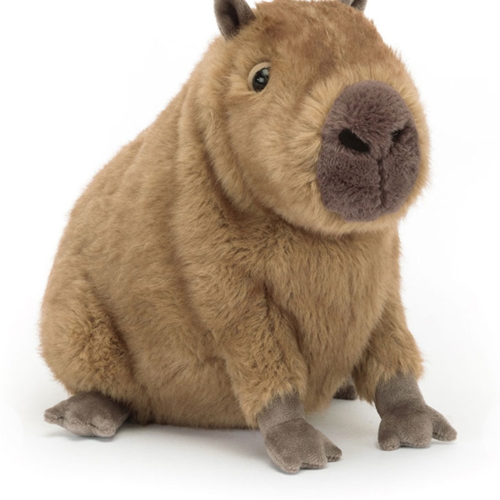 Clyde Capybara